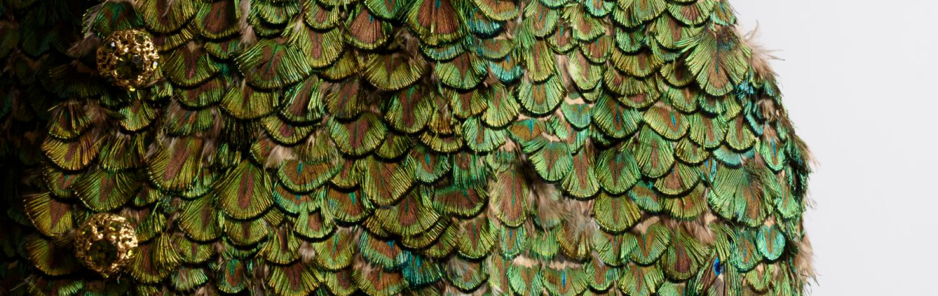 Detail of a green feathered vest with gold buttons